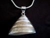 Silver Cone Shell Pendant