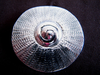 Silver Textured Disc Pendant