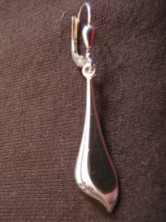 Polished Silver Drop Earrings