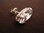 Silver Ellipse Cubic Zirconia Earrings
