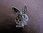 Silver Cubic Zirconia Bunny Earrings