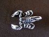Silver Scorpion Pendant