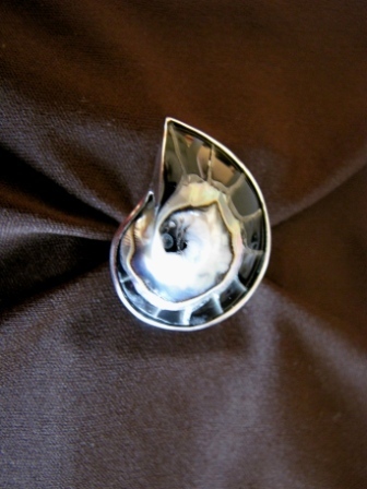 Silver Shell and Black Resin Ring