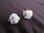 Silver Off-White Rose stud Earrings
