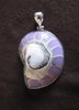 Silver Shell and Mauve Resin Pendant