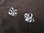 Silver Frangipani Stud Earrings