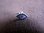 Silver Eye Shaped Evil Eye Earrings