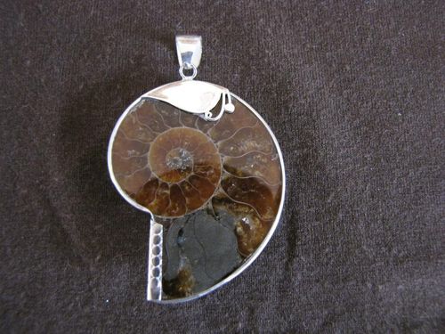 Silver Ammonite Fossil Pendant