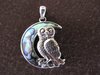 Silver Paua Shell Owl in Moon Pendant