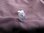 Oval Silver Rose Quartz Stud Earrings