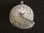 Silver Carved Shell Pendant