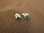 Silver Round Gemstone Stud Earrings