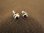 Silver Gemstone Stud Earrings