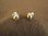 Silver Gemstone Stud Earrings