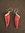 Silver Red Coral Tusk / Tooth Earrings