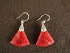 Silver Red Coral Segment Earrings