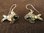 Silver Paua Shell Fish Earrings