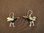 Silver Paua Shell Mynah Bird Earrings