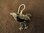 Silver Paua Shell Mynah Bird Earrings